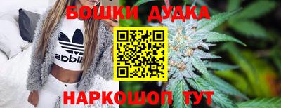 мяу мяу мука Кингисепп