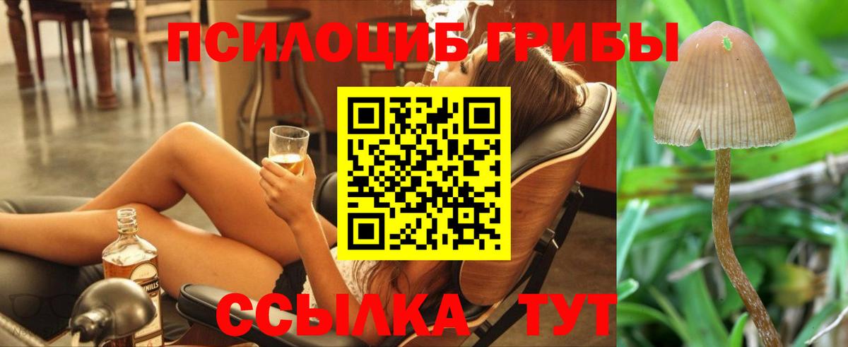 Галлюциногенные грибы Psilocybine cubensis  наркота  Корсаков  Вход с VPN  Псилоцибиновые грибы Psilocybe 